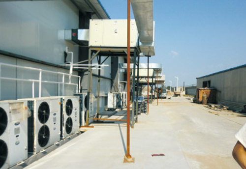 菇廠整廠設(shè)計(jì)