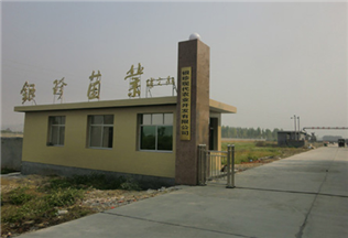 菇廠整廠設(shè)計(jì)